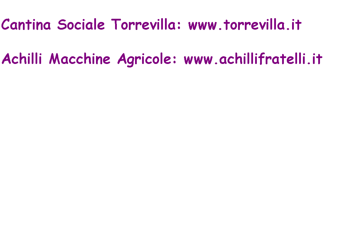 Casella di testo: Cantina Sociale Torrevilla: www.torrevilla.itAchilli Macchine Agricole: www.achillifratelli.it